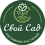 Флорибунда розы